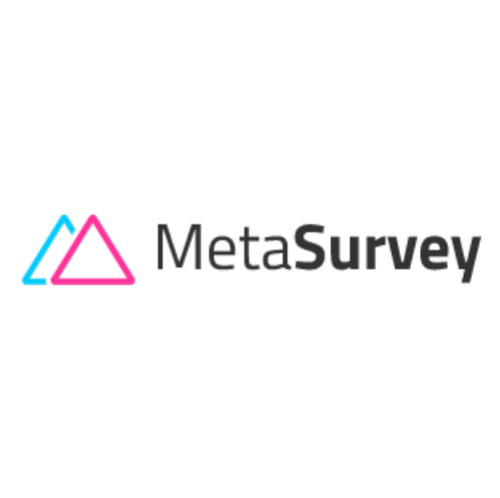 MetaSurvey logo with a blue and pink triangle on a white background