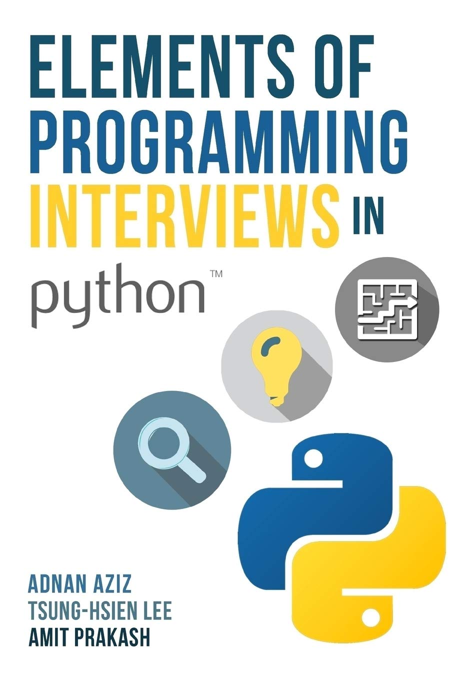 elements of programming interview in white background