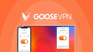 Goose vpn