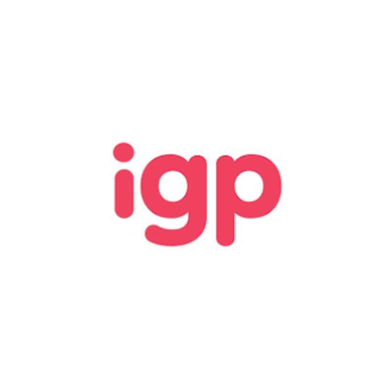 Red 'igp' logo on a white background